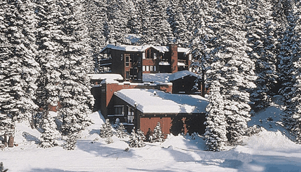View of 3 story home in the snow and surrounded by trees