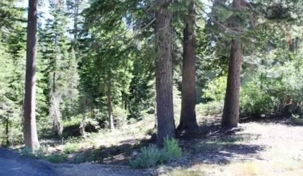 truckee lot for sale