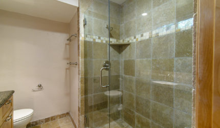 Tiled shower with glass door